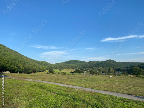 Small road surrounded by green forest and blue sky, perfect for outdoor and travel projects. Scenic summer landscape, ideal as background. Tranquil nature image transports audience to peaceful place.