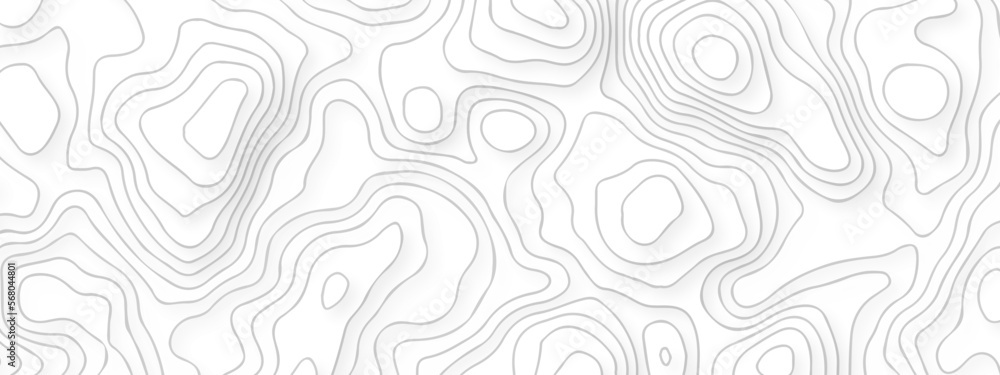 Abstract pattern with lines . Abstract Vector geographic contour map and topographic contours map background. Abstract white pattern topography vector background. Topographic line map background.