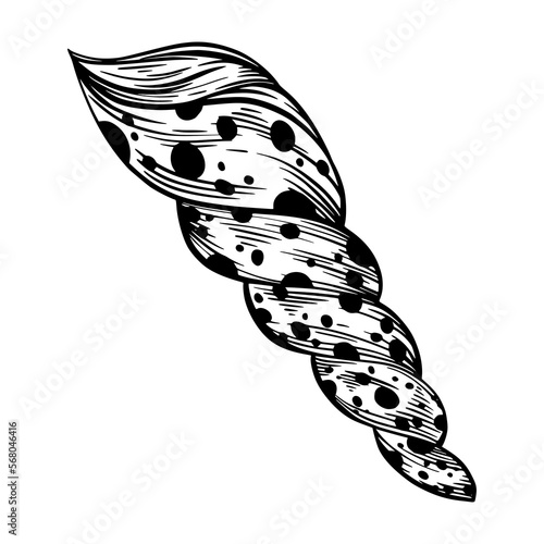 Marine spiral seashell with dots for design of invitation, fabric, textile, etc.