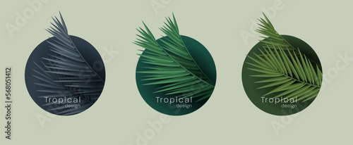 Cosmetics or care products labels with tropical palm leaves realistic 3d vector illustration photo