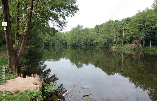 Wollwiesenteich bei Dietzenbach photo