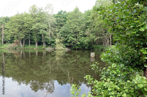 Wollwiesenteich bei Dietzenbach