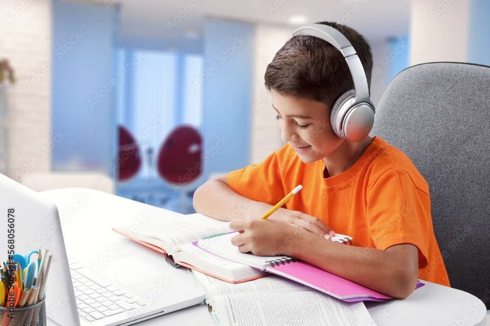 Focused child with a laptop study at home Focused child with a laptop study at home