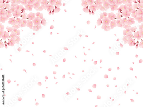 満開の桜と桜吹雪のイラスト