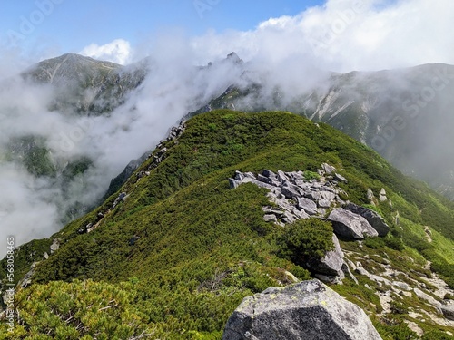 View of the Central Alps mountains hidden in fog at Mt. Sannosawa in Nagano Prefecture, Japan in July. 