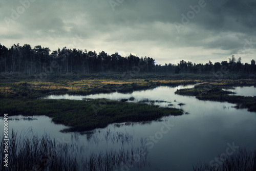moody swamp with water  trees  and moss