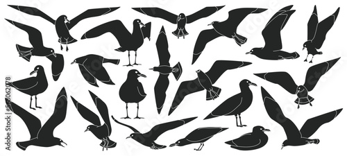 Obraz na plátně Bird gull vector black set icon