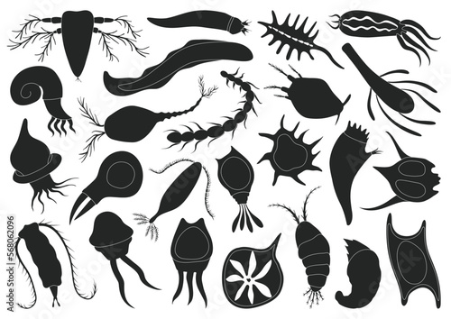 Plankton vector black set icon. Isolated black set icon phytoplankton.Vector illustration plankton on white background.