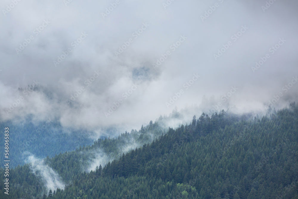 Fototapeta premium Fog in the mountains