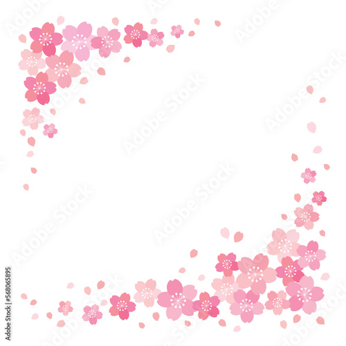 桜と花びらの和風フレーム 背景 テクスチャ バナー/正方形・白背景
