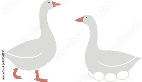 Goose logo. Isolated goose on white background. Bird