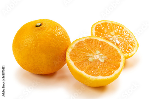 柑橘新品種、はるひ