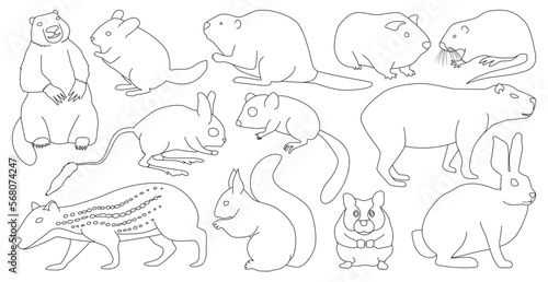 Species of rodents vector outline set icon. Isolated outline set icon gnawer.Vector illustration species of rodents on white background.