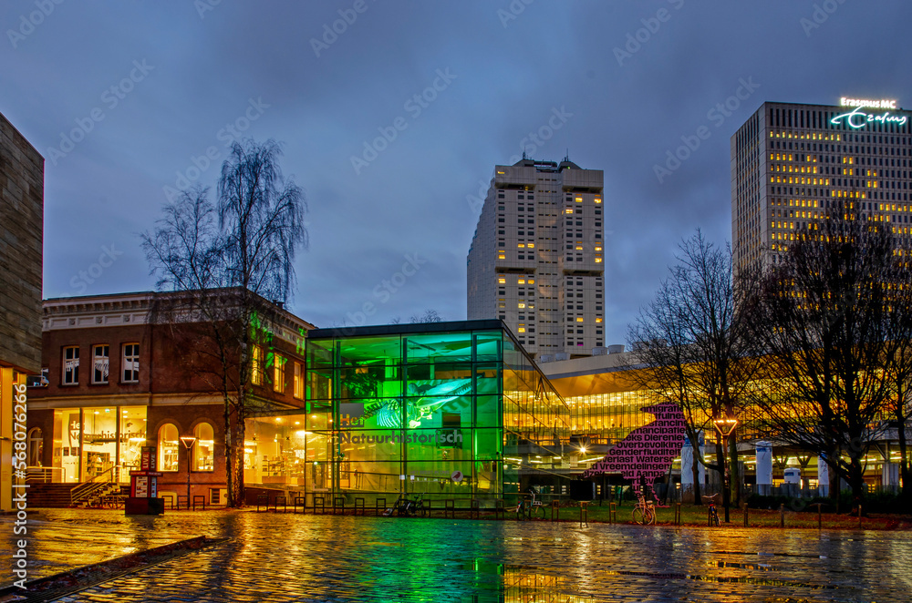 Rotterdam, The Netherlands, January 9, 2023: the Museum of Natural Historic and the Erasmus medical center relfect in the wet pavement in Museumpark on a rainy winter morning
