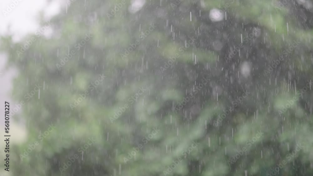 Heavy rain shower storm rain and strong wind against blurred forest trees in slow motion