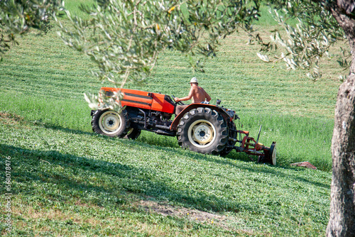 A farmer works on a red tractor in a field, mowing the grass to make hay on a sunny day. A man is working agricultural land. An olive tree can be seen in the foreground