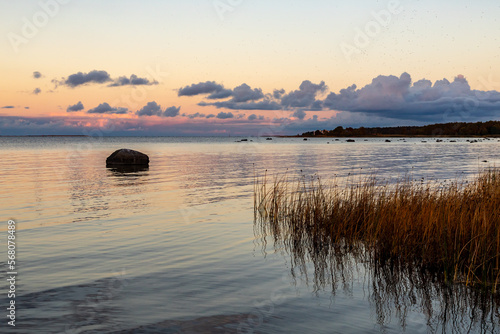 Sun is setting at seaside in Hiiumaa. Rock in sea with golden sunset in calm blue sea water. Reeds  stone  forest and calm colourful sea water during golden hour.