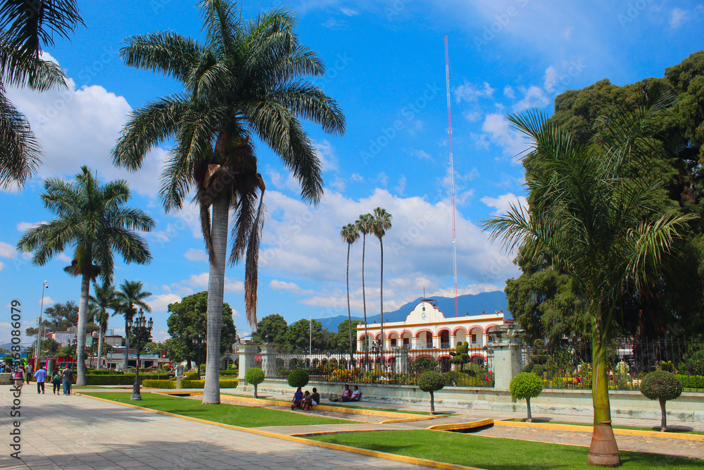 Obraz premium Parque central Santa María del Tule Oaxaca México