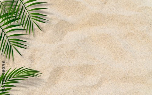 Palm leaves over sand beach top view well free space for text present summertime season background 