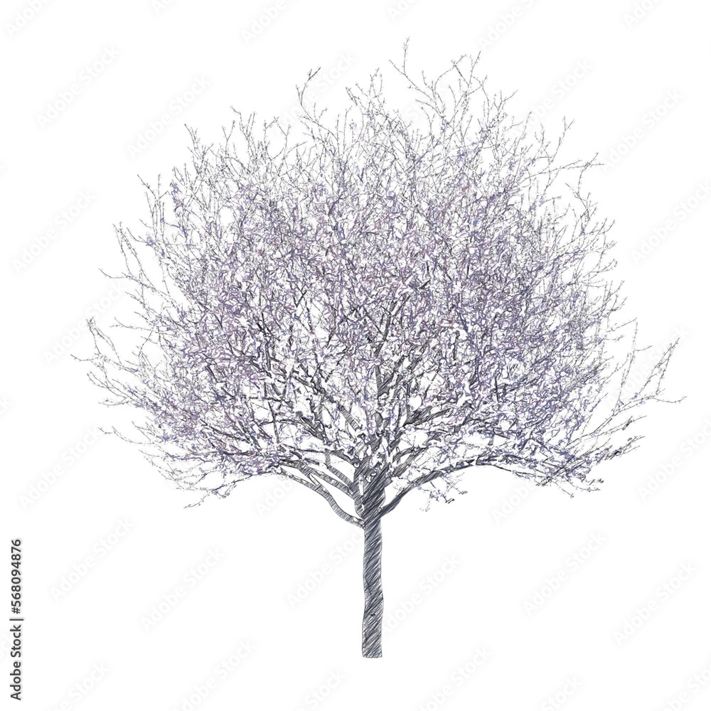 Naklejka premium Blossoming cherry tree drawing isolated transparent background 