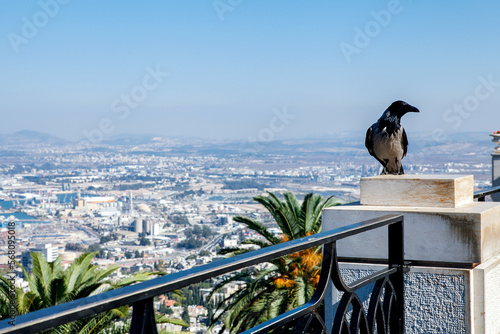 The Bahai Gardens of Israel, a place of relaxation and rest.