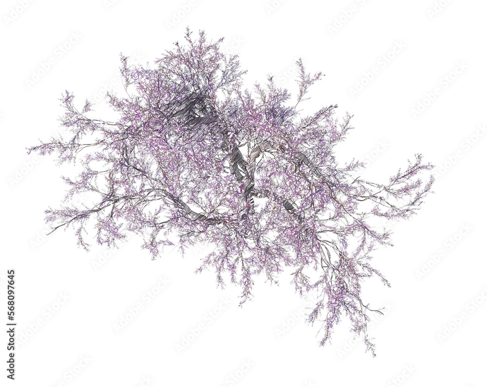 Blossoming cherry tree drawing isolated transparent background
Blossoming cherry tree drawing isolated transparent background