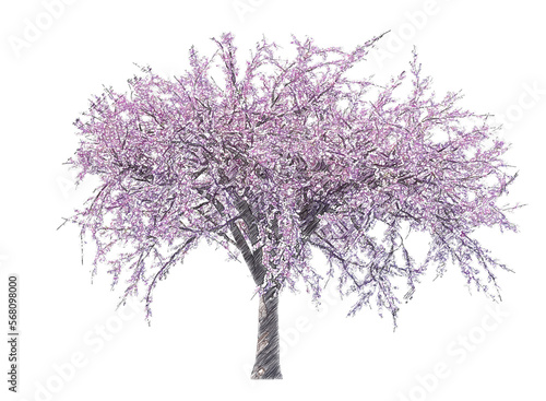 Blossoming cherry tree drawing isolated transparent background   © Zahaoha