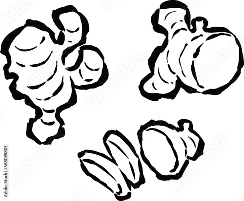 生姜（全体・半分・輪切り・ひとかけ）　筆タッチイラストセット　単色線画のみ