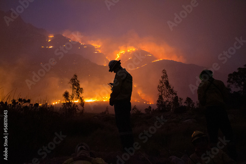 Firefighter Checking Phone