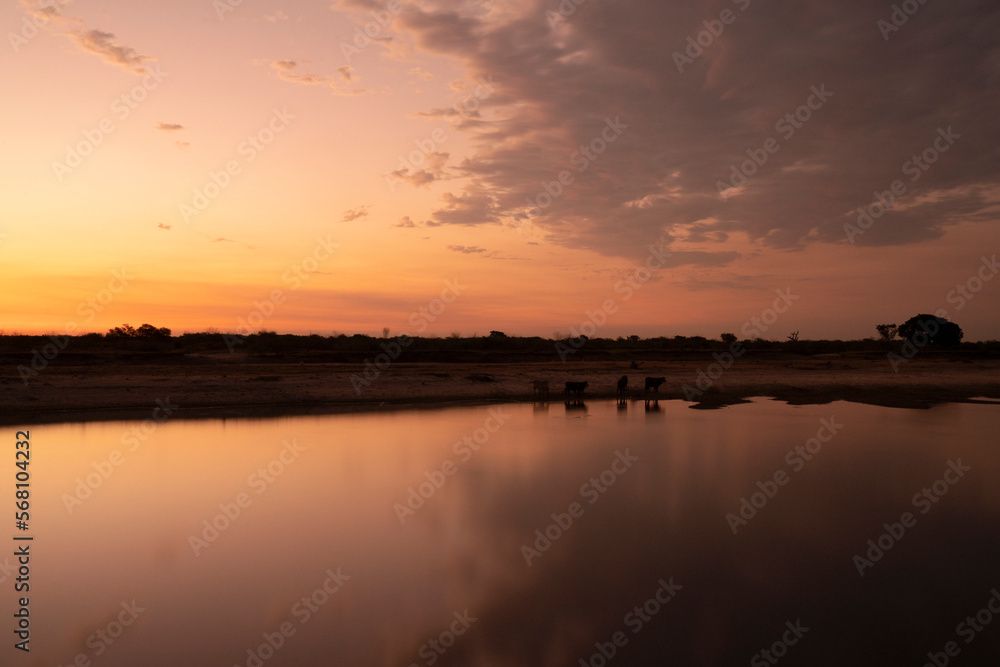 Long exposure shot. Panorama view of the desert and river at sunset. Beautiful reflection of the sky in the water surface. 