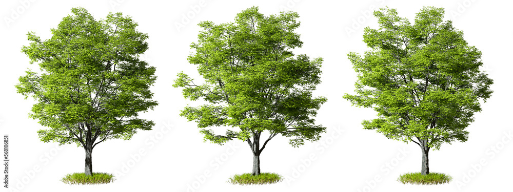 ภาพประกอบสต็อก Greenery forest trees shapes set cutout transparent ...