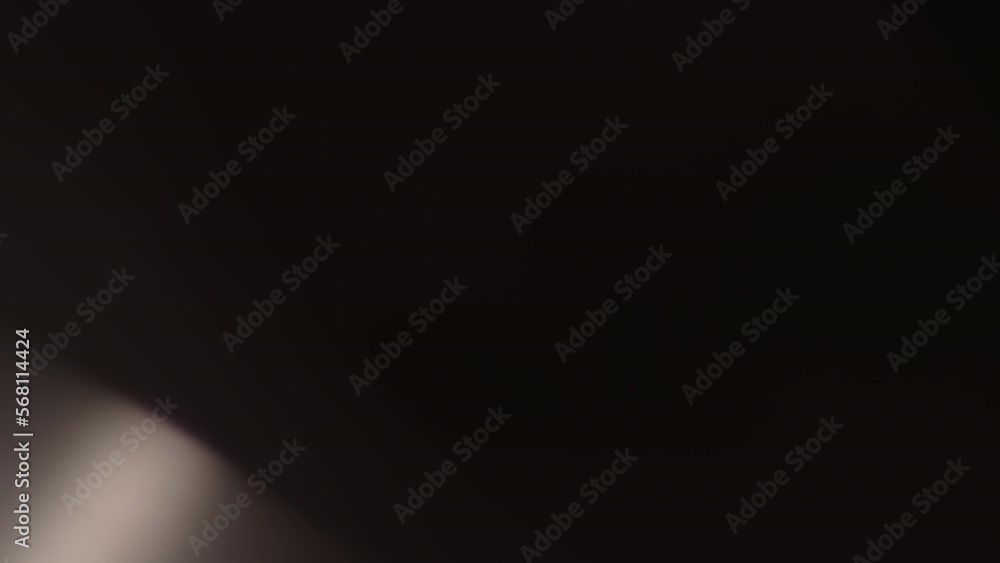 Lens studio flare leak burst overlays Lens studio flare leak burst overlays