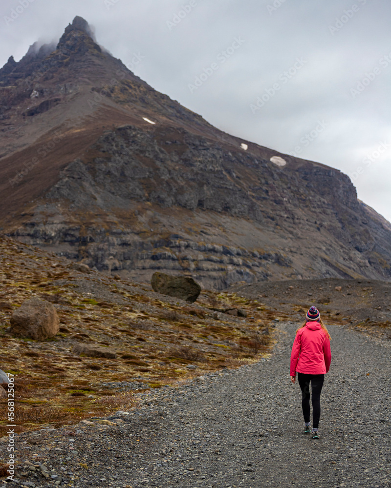 A girl wearing pink jacket walks toward a massive, powerful mountain with snow in the southern land of ice