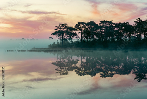 Beautiful morning landscape of misty lake with reflection of trees in water