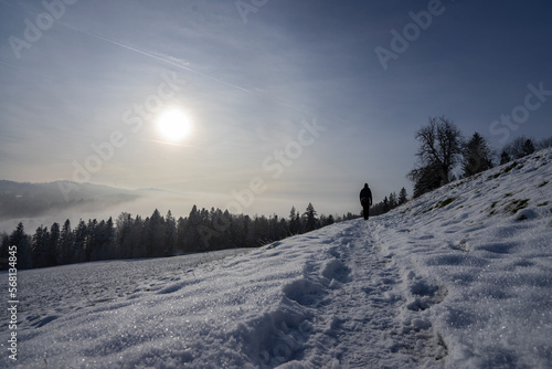 View into the afternoon sun over a snowcovered landscape
