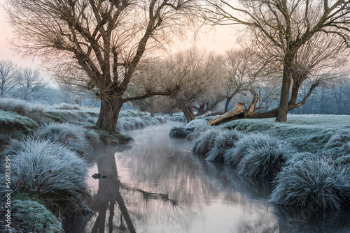 Stunning Winter sunrise landscape image at dawn with hoarfrost on the plants and trees with golden hour sunrise light photo