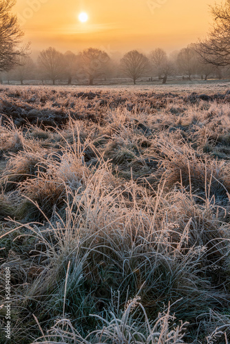 Stunning Winter sunrise lan...