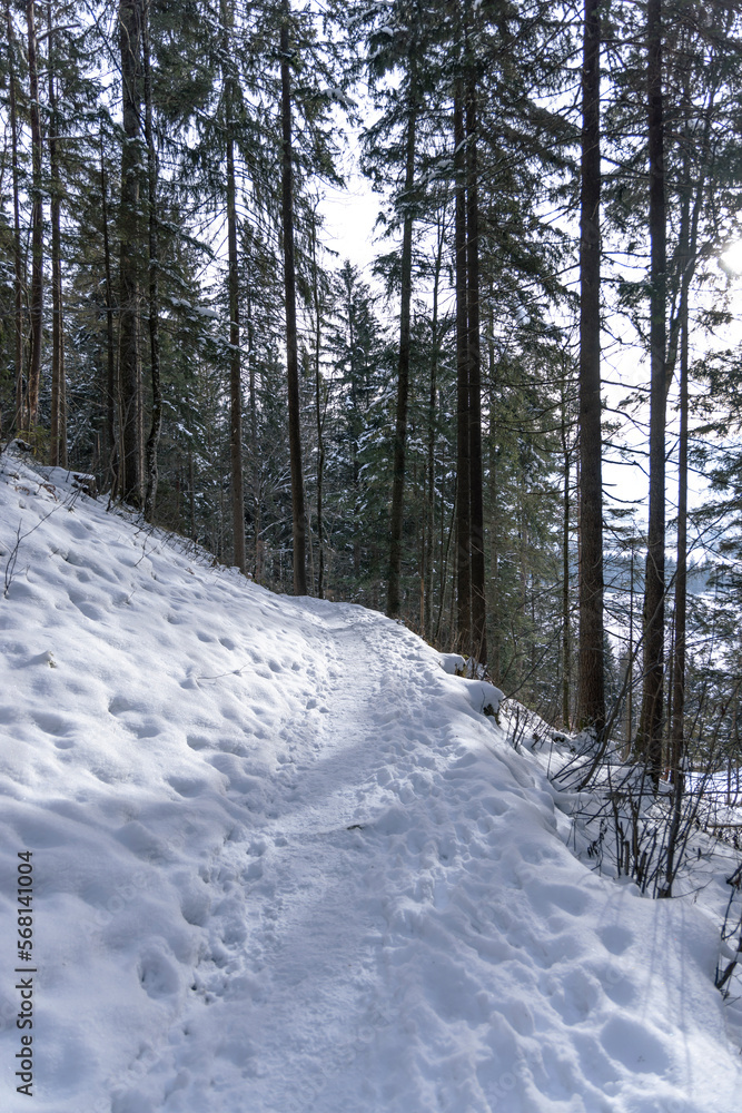 Winterlicher Waldweg.