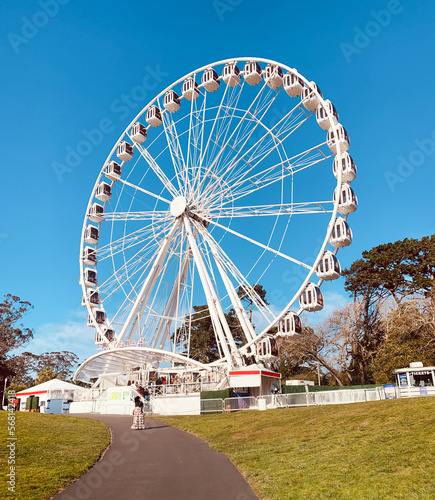 Large ferris wheel at the park
