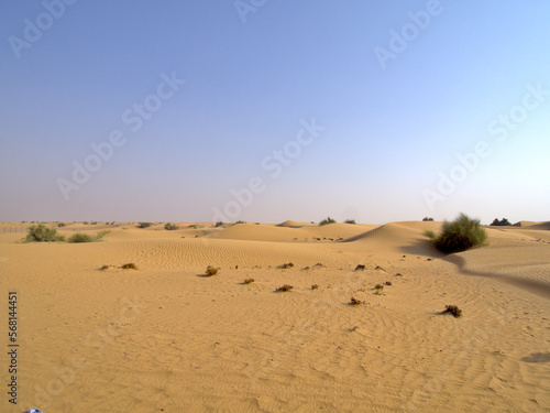 Sand dune landscape in Dubai