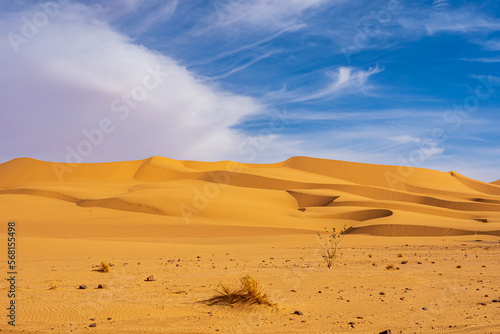 beautiful view in the Desert Sahara in Algeria © Oleksij