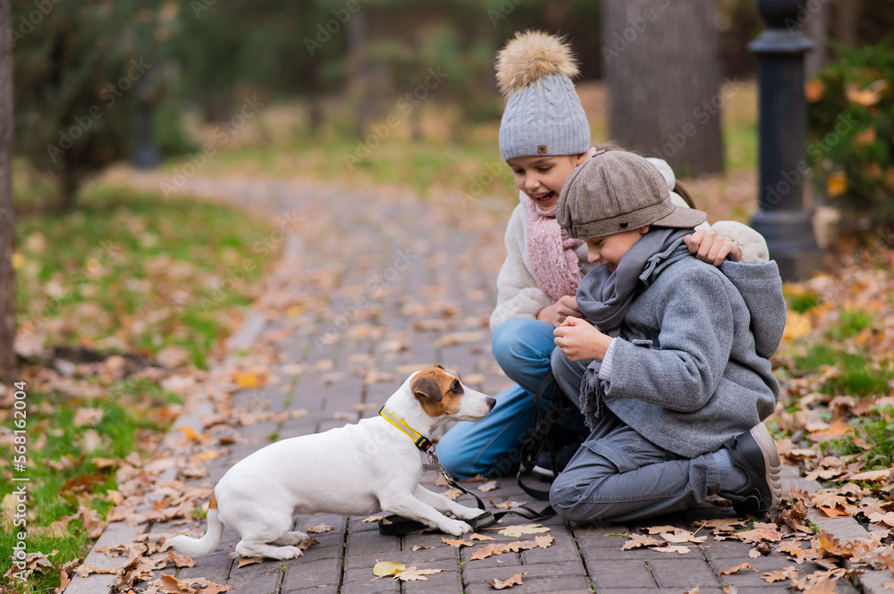 Fototapeta premium Caucasian boy and girl posing sitting on sidewalk with jack russell terrier dog in park in autumn.