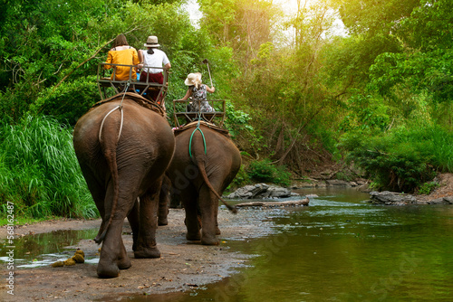 Group tourists to ride on elephant in forest chiang mai, northern Thailand