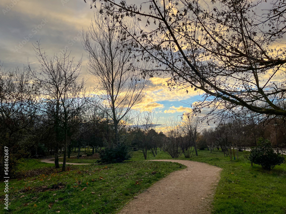 Obraz premium Atardecer en invierno. Camino atravesando un parque. Cielo con nubes al atardecer. Arboles en invierno sin hojas. 