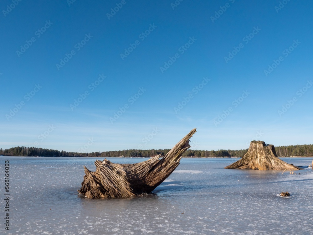 A brown tree stump chops the ice on a sunny day A brown tree stump chops the ice on a sunny day