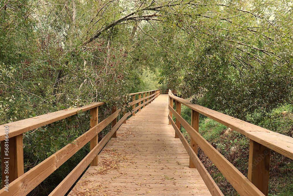 Agroal wooden path in Portugal. Path surrounded by trees and bushes, next to Nabão river.