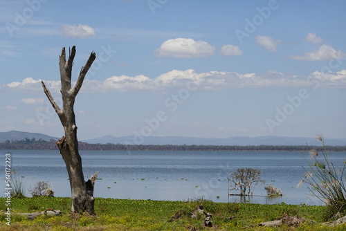 Kenya - Lake Naivasha - Crescent Island  © Karen