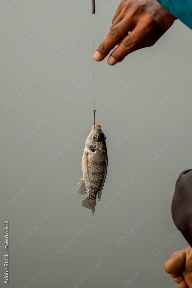 fish hooks human