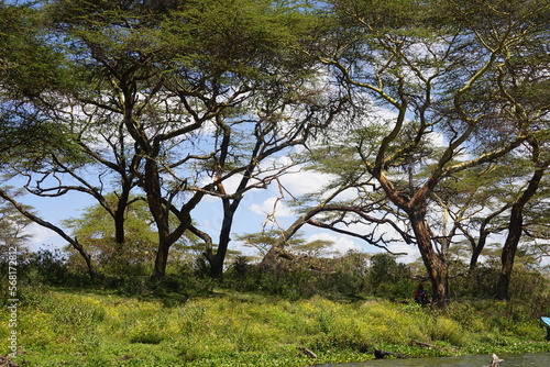 Kenya - Lake Naivasha - Crescent Island 