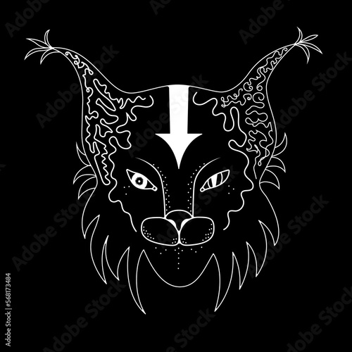 black and white wolf